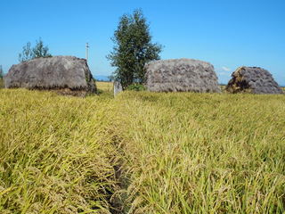 conv0323.jpg